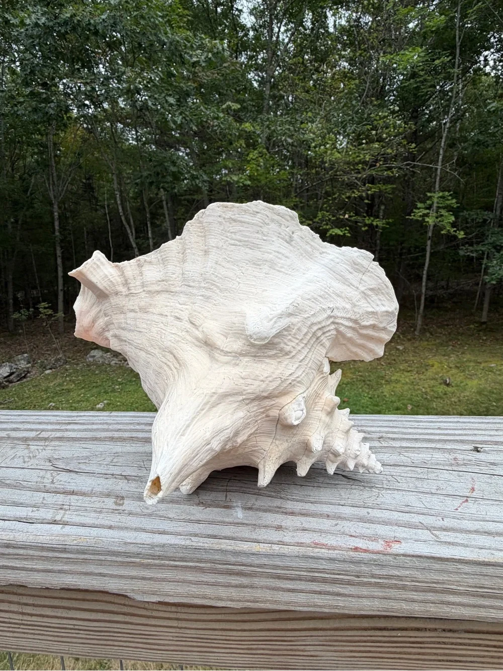 Coastal Decor weathered queen